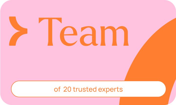 team 20 experts